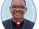 <a href ='https://communications.amecea.org/index.php/2024/05/24/amecea-hybrid-evangelization-suitable-for-the-church-in-africa-says-bishop/'>AMECEA: Hybrid Evangelization Suitable for the Church in Africa Says Bishop</a>